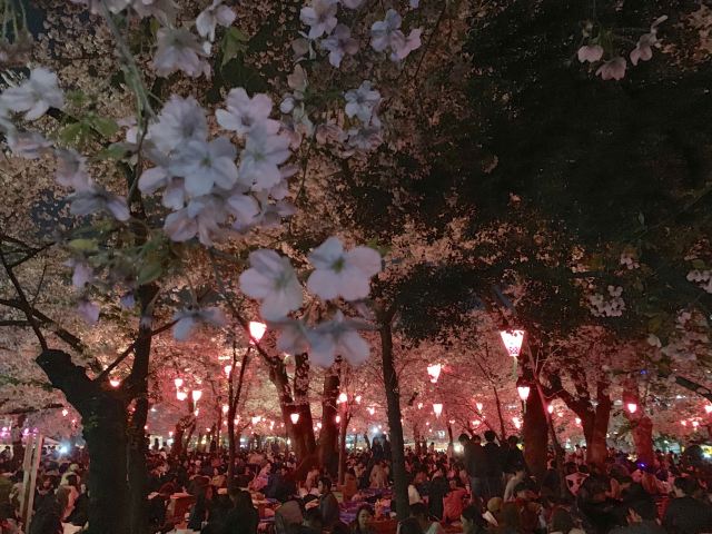 鶴舞公園attractions 名古屋travel Review 年1月28日travel Guide Trip Com