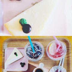 Dreamy Camera Cafe User Photo