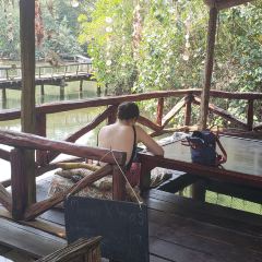 Blue Lagoon Restaurant User Photo