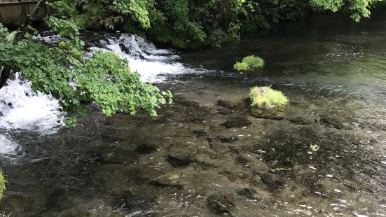 这个景点不算大，只要不上山从下车走到泉眼约5-10分钟，泉水