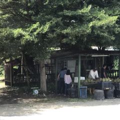 Restoran Terapung Bujang Firefly 여행 사진