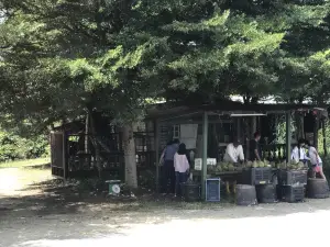 Restoran Terapung Bujang Firefly