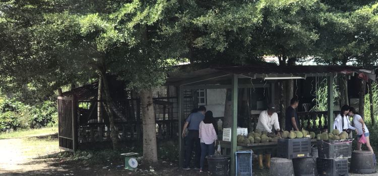 Restoran Terapung Bujang Firefly