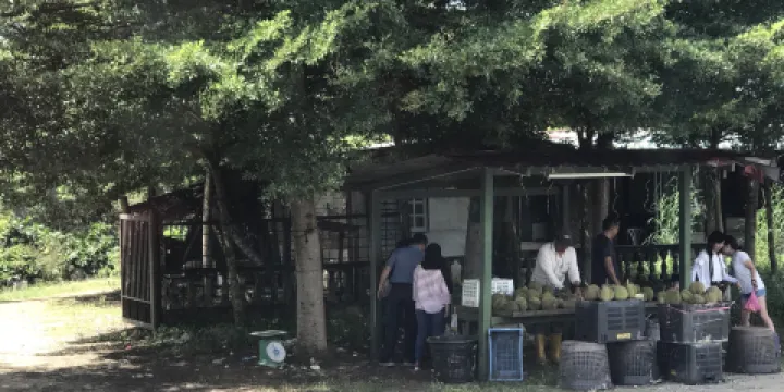 Restoran Terapung Bujang Firefly