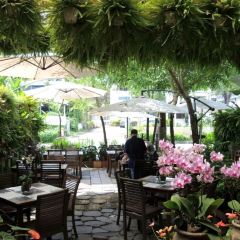 Miami Cafe Beachfront User Photo