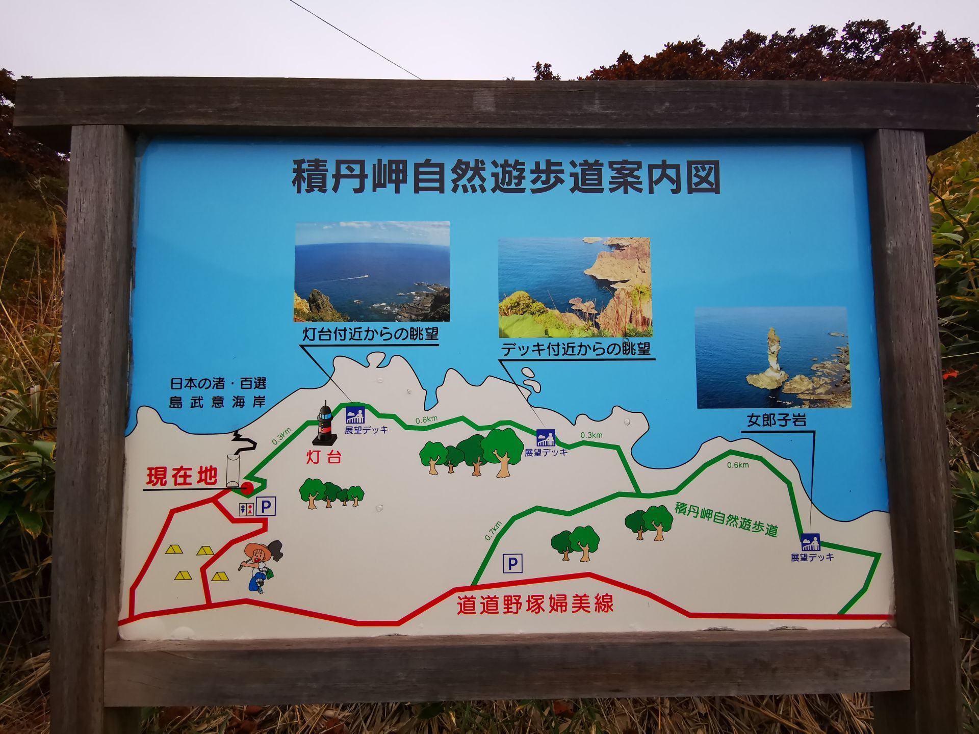 島武意海岸旅遊攻略指南 島武意海岸評價 島武意海岸附近推薦 Trip Com