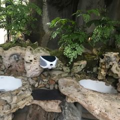 黑森林餐廳張用戶圖片