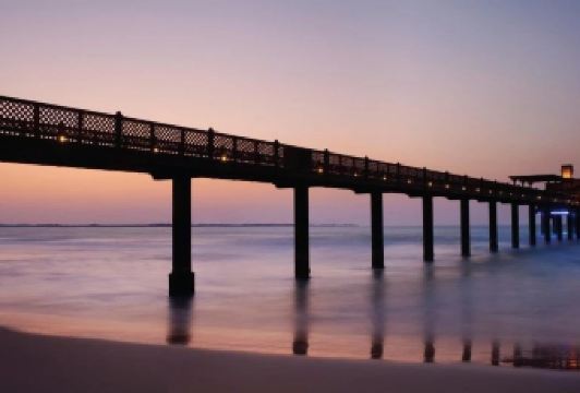 Pierchic用戶圖片