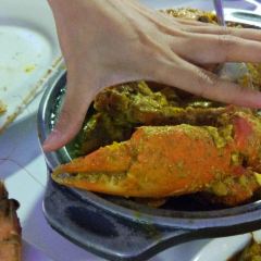 Sea Fish User Photo