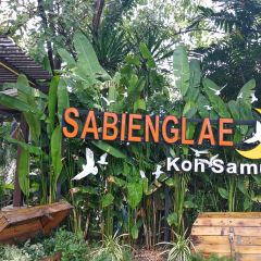Sabienglae lamai User Photo