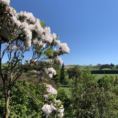Waitomo Homestead ảnh của người dùng