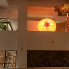 Jin Lu User Photo