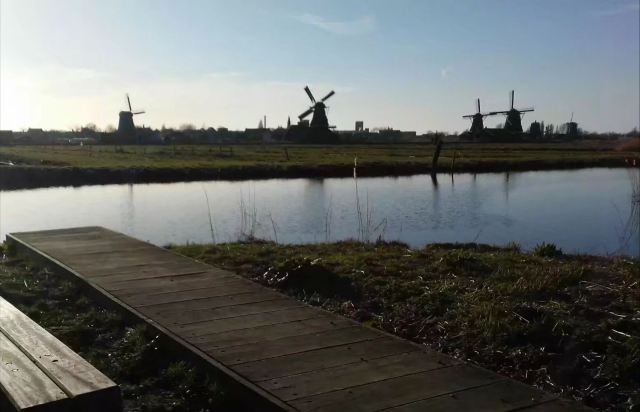 Het Jonge Schaap