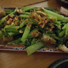 東北人張用戶圖片