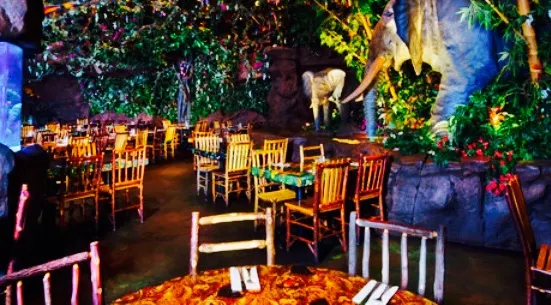 Rainforest Cafe - Disney Animal Kingdom