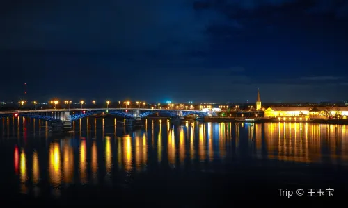 Welterbe Kulturlandschaft Oberes Mittelrheintal