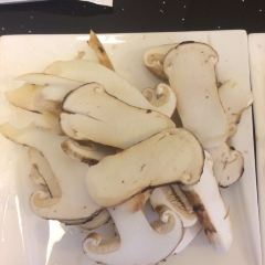 Snow mountain clouds wild mushrooms 여행 사진
