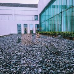 Zhongxintaifuzhujiajiaojinjiangjiudian·pinmingge User Photo