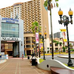 Sea Grill Restaurant User Photo
