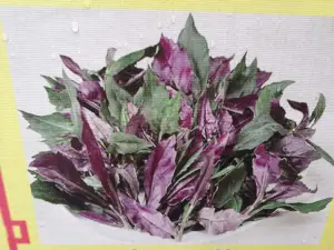 德天壮家人菜馆
