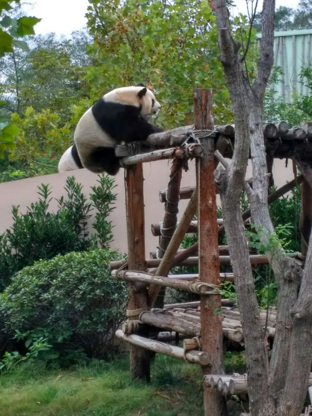 Qingdao Zoo