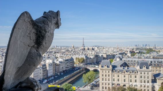 法國凡爾賽宮+羅浮宮+巴黎聖母院包車一日遊 中文服務可定制