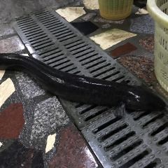万泉河旧事农家庄 User Photo