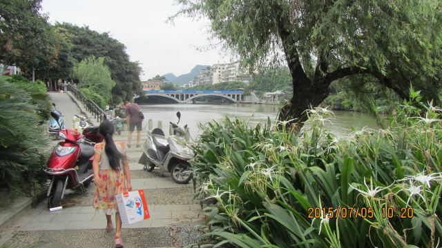 도화강