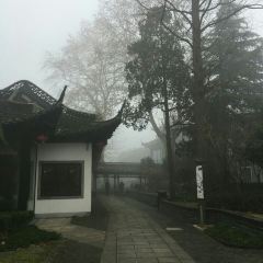 Yechun Teahouse User Photo