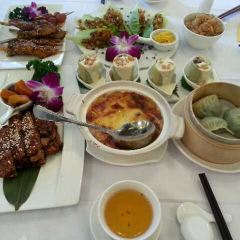 養心茶樓 User Photo