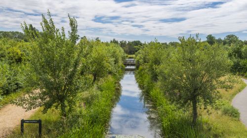 WWT London Wetland Centre