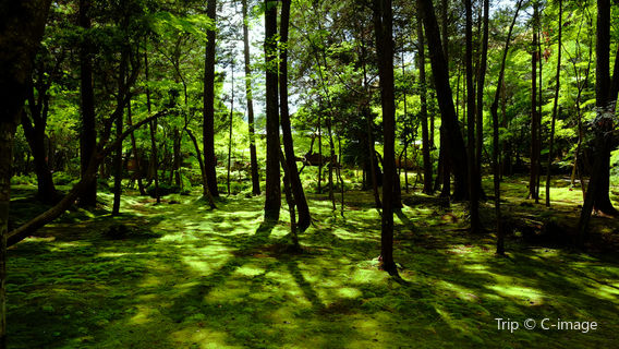 Saihō-ji (Koke-dera) Temple