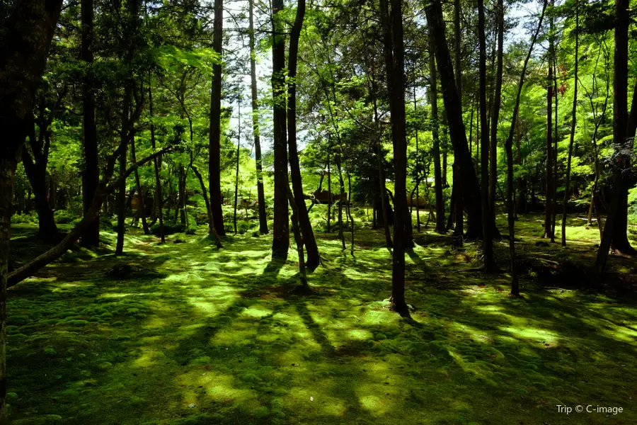 Saihō-ji (Koke-dera) Temple