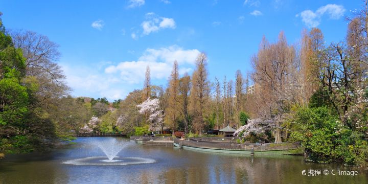 井の頭恩賜公園