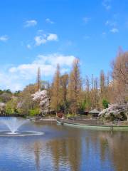 Parque de Inokashira