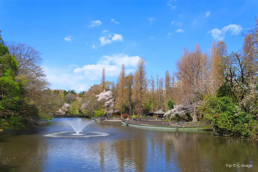 Parc d'Inokashira