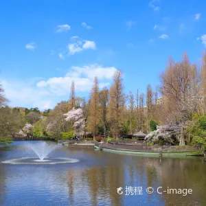 井之頭恩賜公園