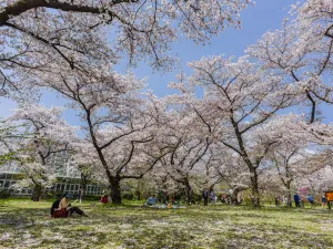 Kyoto Botanical Gardens