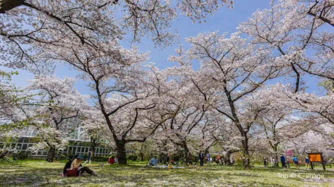 2_京都府立植物園