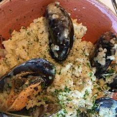 Solo Pasta and Pizza 여행 사진