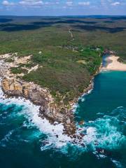 Royal National Park