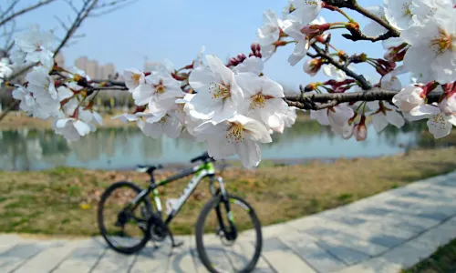 Hefei Botanical Garden