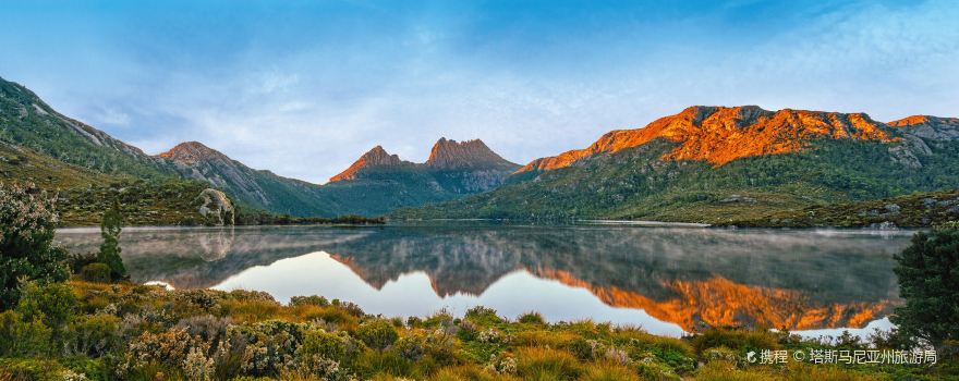 Tasmanie