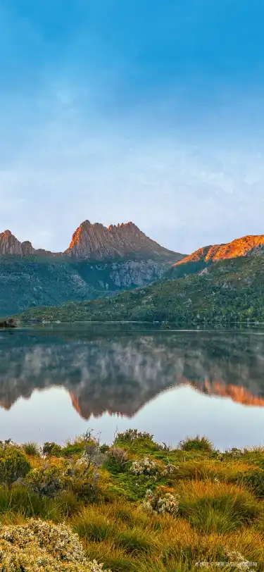 โรงแรมสัตว์เลี้ยงในทาสมาเนีย ออสเตรเลีย