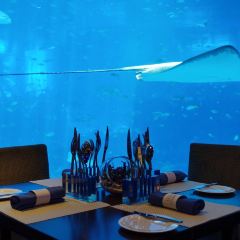 Ocean Restaurant User Photo