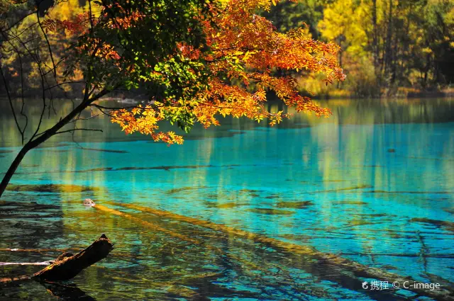 การชมใบไม้เปลี่ยนสีที่จิ่วจ้ายโกว