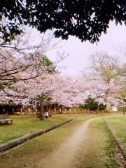 兵庫県立明石公園