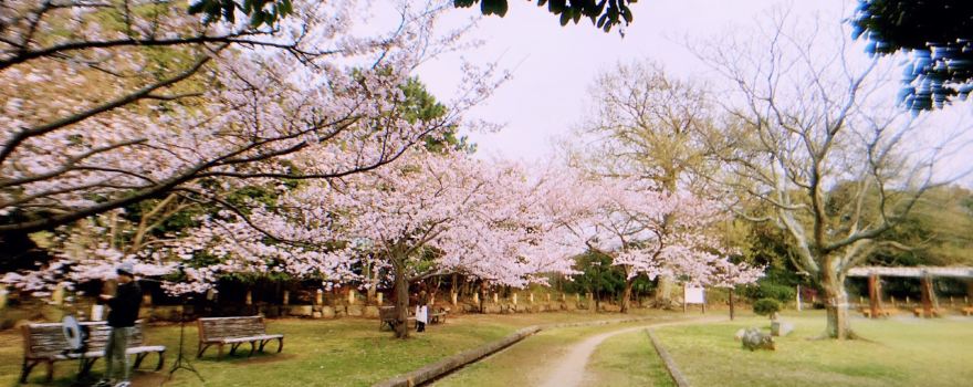 Akashi Park