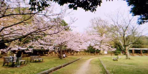 明石公園