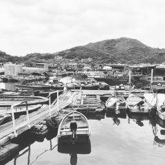 泰苑海鮮魚翅酒家 User Photo